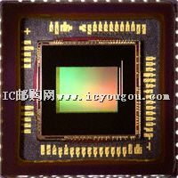 MT9V135C12STCDƬ