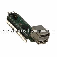 V2DIP2-48DƬ