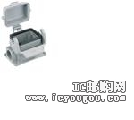 19300061295DƬ