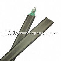 30-61710DƬ