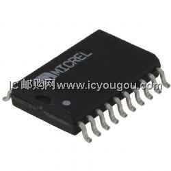SY100EL29VZCDƬ