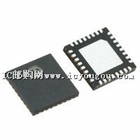 MRF89XA-I/MQDƬ