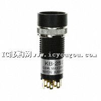 KB25CKG01DƬ