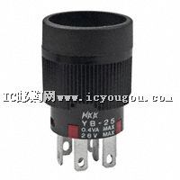 YB25CKG01DƬ