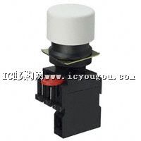 A22-SW-10MDƬ
