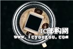 c鿴WS7.56-TO5DƬ