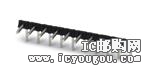 1737019DƬ
