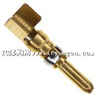 213841-4DƬ