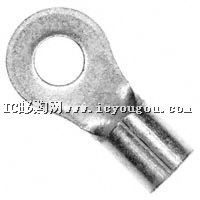 c鿴31113DƬ