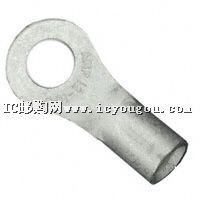 c鿴31805DƬ