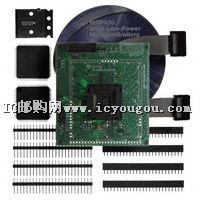 MSP-TS430PZ5X100DƬ