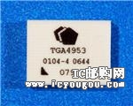 TGA4953-SLDƬ