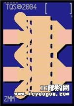 TGF2021-02DƬ