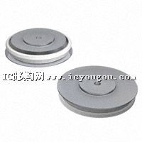 SD303C04S10CDƬ