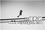 c鿴P3000-W-KIT-312DƬ