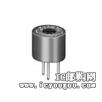 PV12H100A01B00DƬ