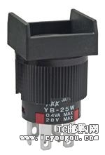 YB25WSKG01-RODƬ