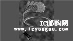 492514-1DƬ