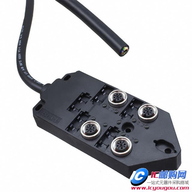 c鿴1202480031DƬ