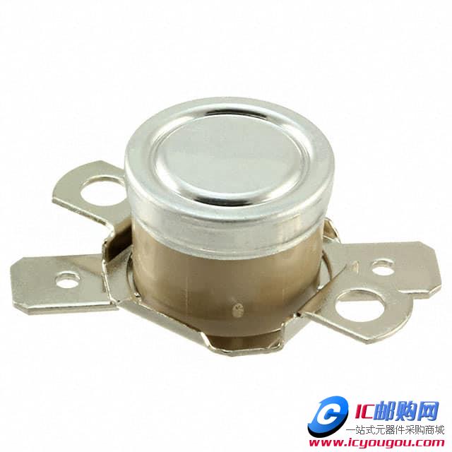 2455RP-91000439DƬ