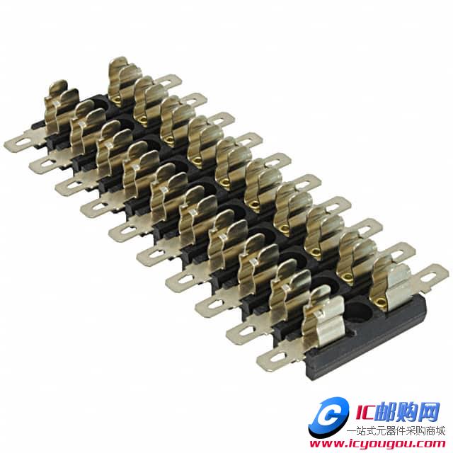 c鿴31.501DƬ