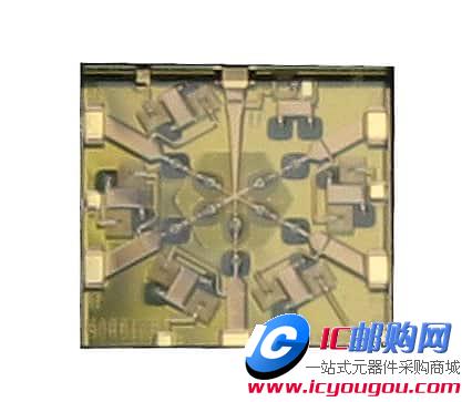 c鿴MASW-005102-13600WDƬ