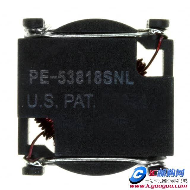 PE-53818SNLDƬ