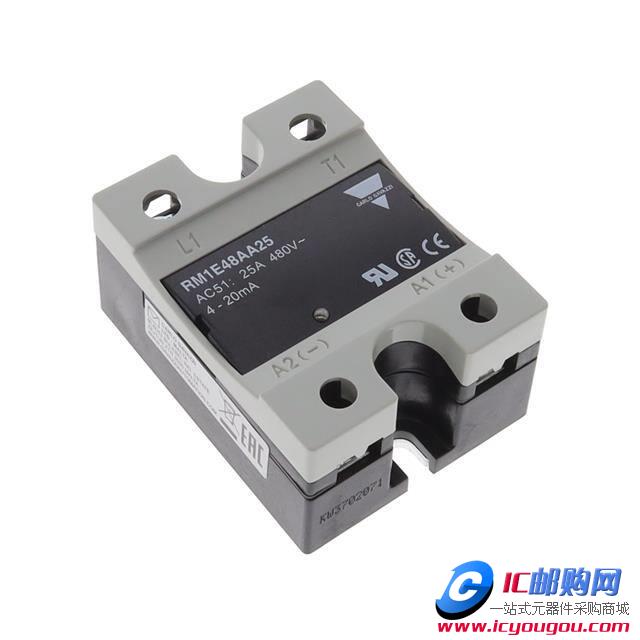 RM1E48AA25DƬ
