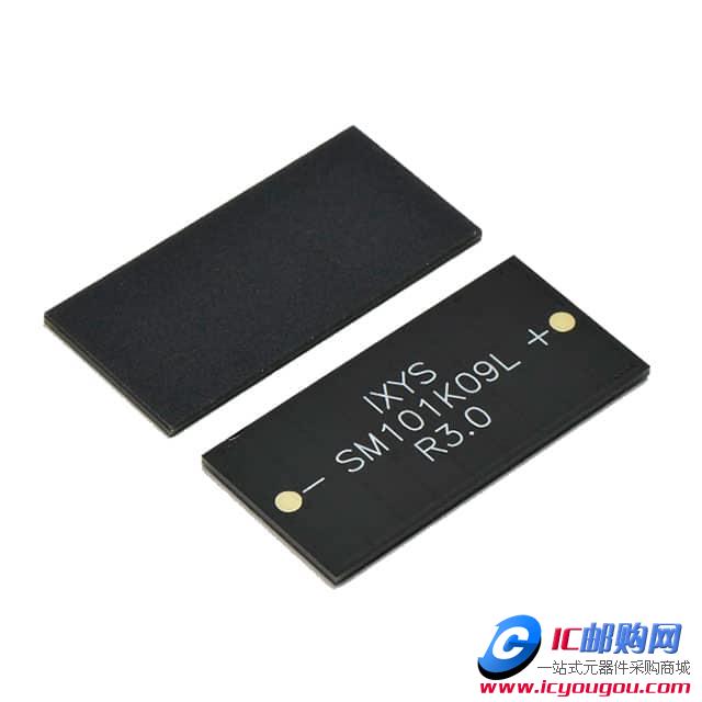 SM101K09LDƬ