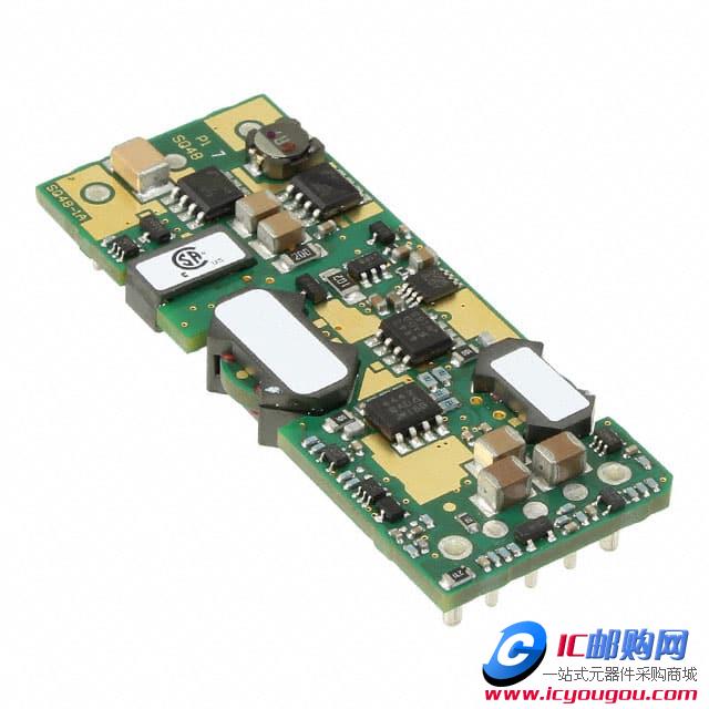 SQ48T15033-NBC0DƬ