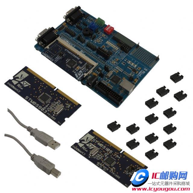 c鿴STM8/128-SK/RAISDƬ