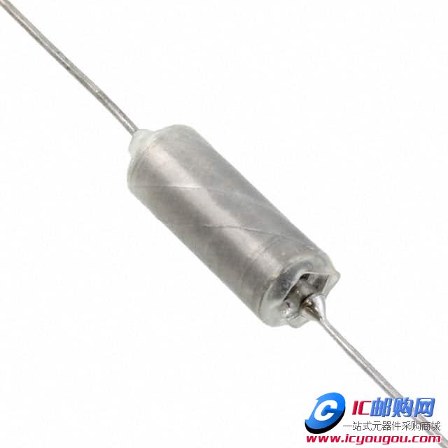 T110B106K020ASDƬ