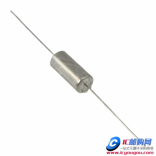 T110D107K020ASDƬ