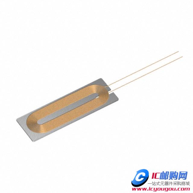 WR301025-19M8-GDƬ